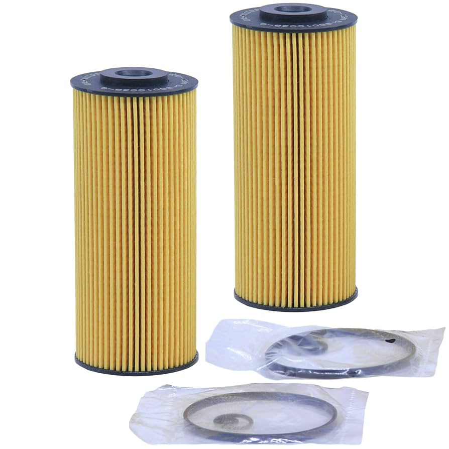 Amazon.com: 2 Pack of BAIZHIHUA EO-1501 Oil Filter Replaces